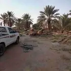 فسايل للبيع منتج مكه جده الطايف