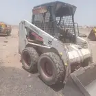 Bobcat for rent