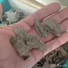 عود فيتامي طبيعي سوبر وسوبر وأقل