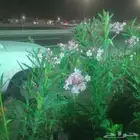 مشتل زهرة الريف تنسيق الحدايق وشبكات الرى