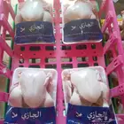 دجاج لاحم تربية المزرعة