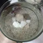 سمكه فايتر مع حوض