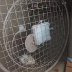 قرشعة جربوع000على طاقة شمسيه((جديده لم تستخدم)