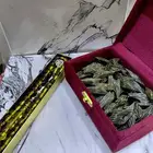 تايقر فيتامي درجه أولى