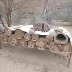 نحل بلدي للبيع العيدان من الاباري والسدر وغيرها