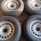 جنوط هلل وكاله  6مسمار مع شواهين فريزاء جديد