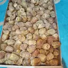 يوجد عمال خرافين سكري