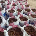 تمر حلال تمر ناشف ولين