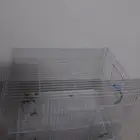 قفص سنجاب معا كامل اغراضه