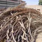 عسبان او جريد نخيل