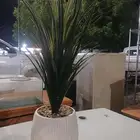 It seems that sajar is not a word in Arabic If you meant som