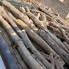 صندوق هالكس