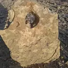 حجر للبيع