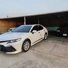 القطيف