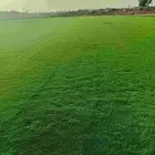 تيل سي2000 صافي طبيعي