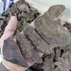 عود هندي طبيعي تربل عالي فآخر