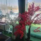 حديقه بيتي للتنسيق الحدايق