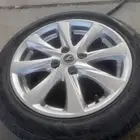 جنوط شانجان السفن