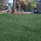 ثيل سي 2000طبيعي وصافي وطبيعي الموقع الخرج يوجد لدينا توصيل