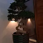 يوجد جميع انواع الزرع الداخلي والخارجي