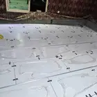مبلط باكستاني الطيف