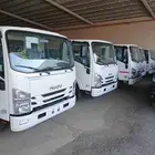 دينا ايسوزو