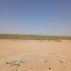 معلم رشاش ابحث عن عمل يمني موسسه فرديه حاليآ بشمال ب طبرجل