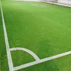 أكاديمية فيت ستارز للتدريب كرة القدم والسباحة