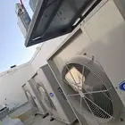 الرياض
