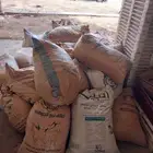 تمور حلال حوالي 300