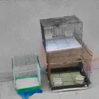 اقفاص طيور