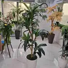 شجره با ممكن فيبر ابيض