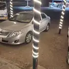 بودي بلد رشه فرام فحص جديد سمره جديد