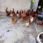 13 9 25