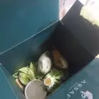 همسترات زوج حجمها كبير