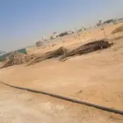 جريد نخيل في الهياثم