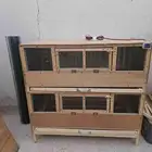 حاظنة صوص دجاج وسمان دورين