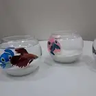 توزيعات سمك الفايتر