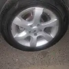 جنوط التيما