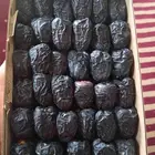 تمر عجوه حبه فاخره للبيع