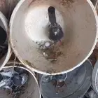 حمام باكستاني دم صافي