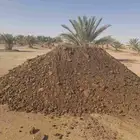 سماد دجاج سماد بقره