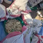 خبز ابيض يابس