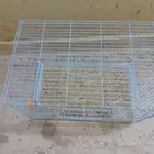 شبك للحيوانات