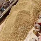 توريد دفان صبيز رمل لياسه رمل احمر رمل البان دفان بلاط بحص