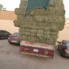 الرياض. رودس. طيب. مره. العدد. 200. حبه. واصل. اي. مكان