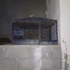 قفص للبيع يكفي ثلاثين من الدجاج