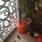 انبوبا غاز