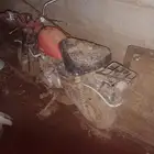 دبب هذا عليه 300 ريال