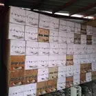 للبيع خلايا